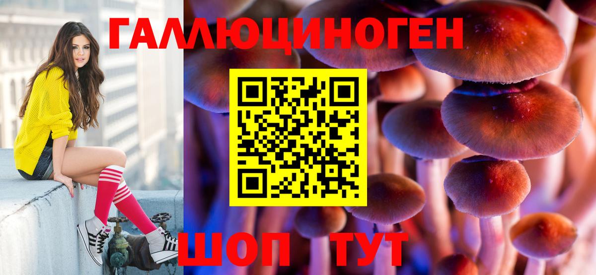 Троицк  Галлюциногенные грибы Psilocybine cubensis  Вход с VPN 